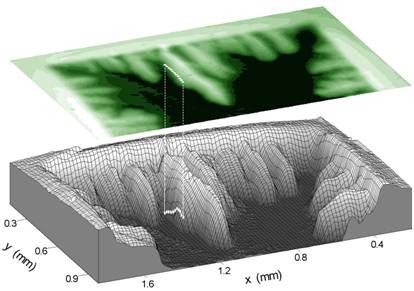 Magnetic Profile